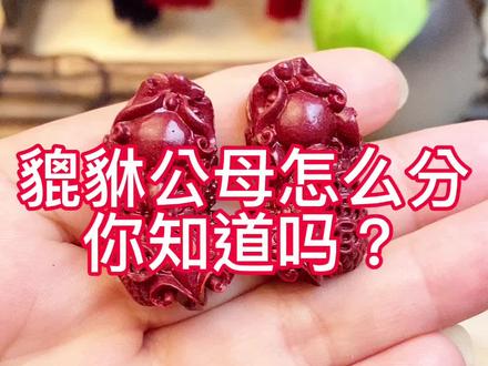 貔貅公母怎么分你知道吗? #朱砂 #朱砂貔貅 #朱砂知识