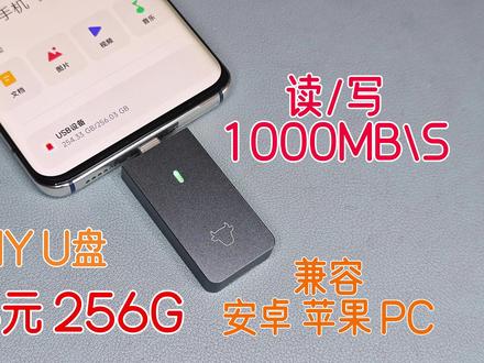 DIY U盘 兼容苹果 安卓 PC 固态U盘 #数码 #硬盘 #数码产品 #蔚蓝档案 #寻声周计划