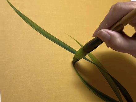 #兰花国画 #一花一草一世界 #国画 #梅兰竹菊 领略兰花的魅力