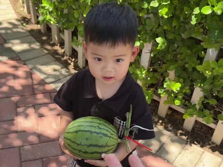 最无力的年纪,遇到了最无理的人
#亲子互动 #人类幼崽 #vlog日常 #小朋友的西瓜