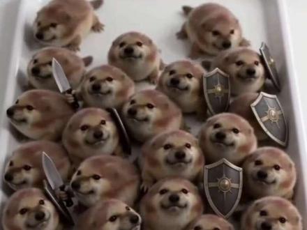 穿越到猫meme世界#猫meme #asmr #我的刀盾 #巴巴博一