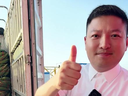 东方玉米滞销,海南陈团长公益助农,采购六吨送给粉丝,领取地点在东方滨海湾售楼处。滨海湾一线海景房四房两卫首付15万。看房送十斤玉米🌽