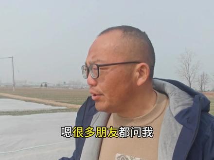 大蒜盖的无纺布什么时候去掉