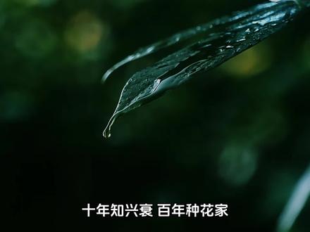 种花家的硬盘#diy电脑 #电脑知识 #固态硬盘 #高性价比的固态硬盘推荐 #固态硬盘推荐