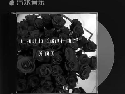 遇见好音乐#汽水音乐