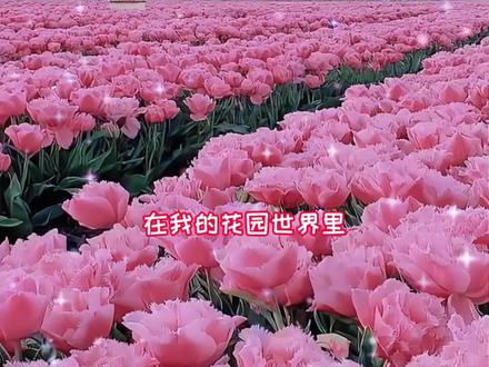 让美好照进现实~ #玩游戏送真花 @我的花园世界小游戏