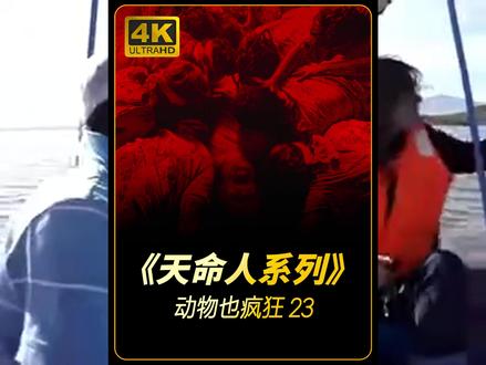 动物也疯狂的第23期。