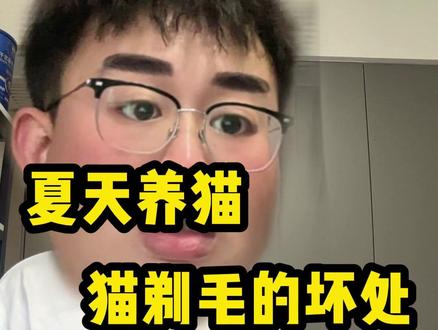 夏天养猫剃毛注意事项 #夏天养猫 #猫剃毛 #新手养猫