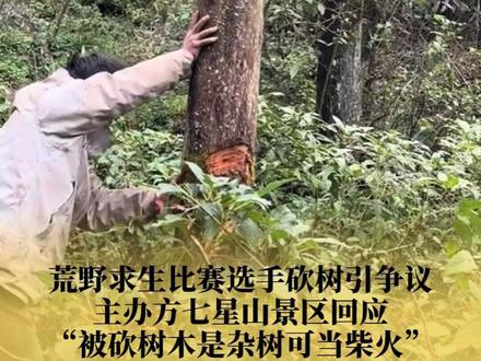 主办方景区回应网红选手砍树“被砍树木是杂树可当柴火”