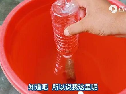 海竿定位标记的制作#钓鱼技巧