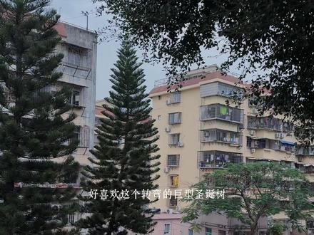 我一个人独自的生活#vlog十亿流量扶持计划 #独居日记 #vlog #厦门