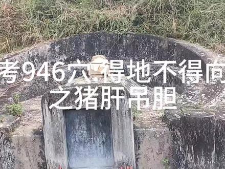 考946穴:得地不得向之猪肝吊胆
