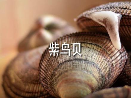 紫鸟贝-日料不是只有北极贝 #海鲜 #美食 #贝壳 #刺身美食 #鸟贝