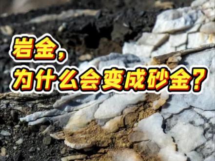 黄金是怎么从岩石里变成砂金的? 很多人只看到河里的砂金,却忽略了最关键的一步。
黄金最早都在岩石里,只有经历风化、破碎、进入水系,再被反复冲刷和筛选,才真正走上砂金的那条路。
下一条我会讲:为什么同样被水冲刷,黄金却会留下来。
#砂金 #岩金 #黄金形成 #淘金 #地质科普