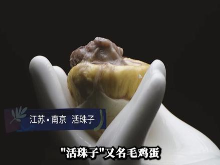 活珠子,你敢吃吗? #活珠子