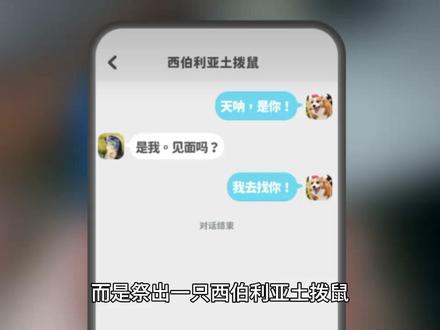 完蛋美女的终极BOSS李云思,放出土拨鼠连浩浩妈的墙脚都能啃!知心画家姐姐李云思在完蛋我被美女包围游戏里的人气尽管不靠前,然而她的地位却是最为超然的。首先,李云思是六个女主里面唯一一个没有专属于自己独立结局的角色,因为她可以“偷人”。说得再通俗一点,就是大家耳熟能详的人头狗,咱这可不带任何攻击的意思,纯属于形象调侃。李云思的大招并非放狗,而是祭出一只西伯利亚土拨鼠。很多没有在画室里答对问题的玩家通关都不知道西伯利亚土拨鼠就是李云思,而一旦你在最后关头手贱选择与西伯利亚土拨鼠见面,就会达成李云思destiny的隐藏天命结局。西伯利亚土拨鼠实在太厉害了,另外五个女主到嘴边的肉,都能让她最后关头给抠出来。即便是浩浩妈的浪漫满屋摆在跟前,都能给你瞬间推倒。这款游戏的天命BOSS毫无疑问是李云思,你们这些小年轻还是经验太少,get不到她的魅力啊!#完蛋我被美女包围了 #李云思 #林乐清 #浩浩妈 #游戏