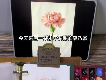 画一朵永不凋零的康乃馨,祝所有母亲节日快乐。 #水彩 #母亲节 #菜蔡水彩 #跟着抖音学画画 #水彩康乃馨