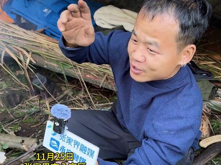 荒野求生决赛第二天,苗王占顶级庇护所,挖到“顶级”食材#荒野求生 #张家界