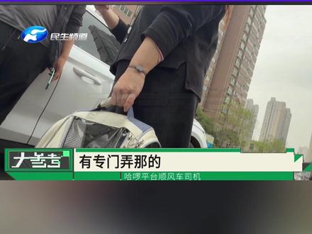 河南郑州,用哈啰顺风车运送宠物,拒绝司机加价后宠物下落不明,平台客服:顺风车运送宠物不违规,但也不建议#媒体精选计划