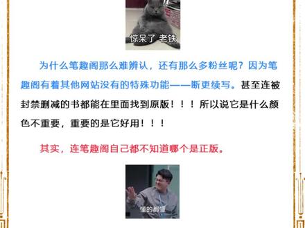 我的笔趣阁是蓝色的,是正版吧?#小说 #每日推文 #网文