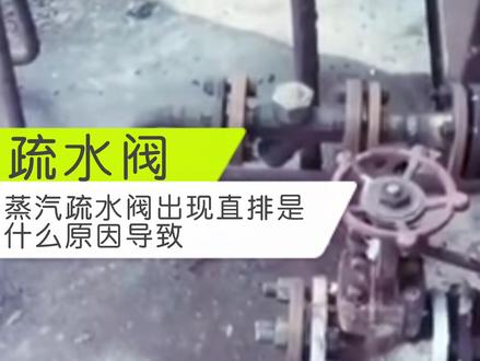 蒸汽疏水阀出现直排是什么原因导致?#蒸汽疏水阀 #疏水阀 #倒桶式疏水阀 #蒸汽管道 #立信隆阀门
