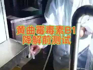 黄曲霉素降解机降解效果测试
