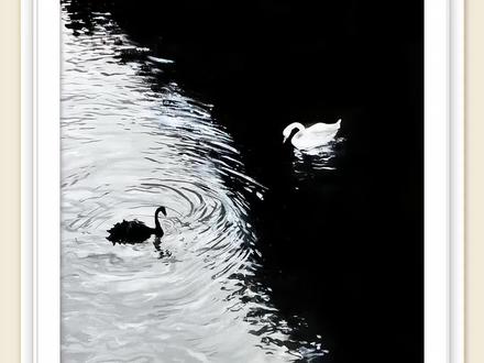 终究还是对这幅画下手了,丙烯画黑白天鹅湖!#丙烯画教程 #画画教程 #零基础学画画