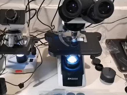 显微镜入门之选择显微镜#显微镜 #BM2000 #如何选购显微镜 #显微镜推荐