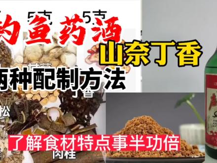 自制钓鱼小药,山奈丁香酒两种配制方法,了解食材本质事半功倍 #钓鱼药酒配方