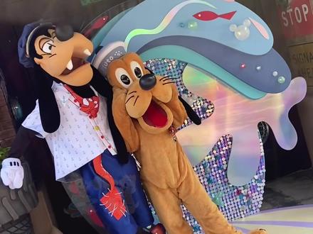 不知道两只狗在干啥 #上海迪士尼 #高飞布鲁托 #高飞 #布鲁托