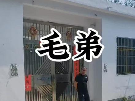 毛弟日常生活搞笑…#农村生活 #搞笑 #农村搞笑段子 #内容过于真实 #专治不开心 #原创搞笑