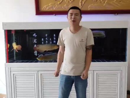 鱼缸噪音怎么办 ,小伟来帮您哈哈#鱼缸噪音 #抖音小助手 #养鱼 #鱼缸