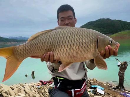 擒龙诀硬挺王大鱼挑战赛第二季截止5月21日9点31分,滑漂小志新增鱼获总成绩已经20斤以上,早晨7点多擒获巨物鲤鱼一尾,有没有可能搏一搏单尾最重?目前窝料还有两箱多,是否乘胜追击拿下本次赛事冠军,我们拭目以待!本号实时追踪热点爆料,感兴趣朋友关注下!
@路亚滑漂小志
#擒龙诀硬挺王大鱼挑战赛第二季 #荒野挨饿王大鱼挑战赛第二季 #擒龙诀硬挺王大鱼挑战赛 #莽莽克拉斯 #刷锅传媒