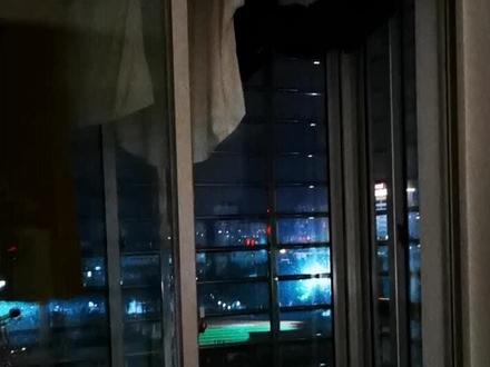 #飞蛾扑火 飞蛾进屋子了,要怎么灭才是最好的方法?@抖音小助手