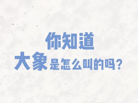 我今天才知道,大象原来是这么叫!