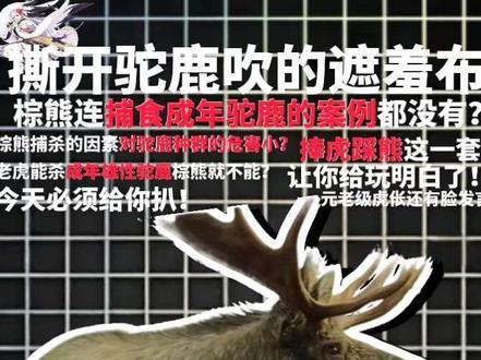 @卡宝看世界