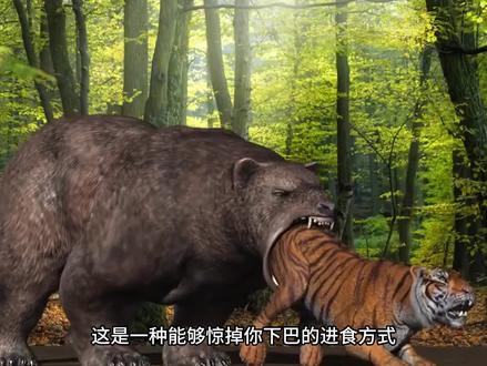 能够暴打剑齿虎的生物! #古生物 #短面熊 #剑齿虎
