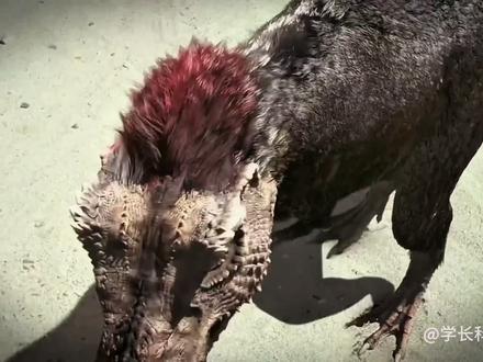 霸王龙究竟有多可怕 #涨知识#霸王龙#野兽领主新世界 #万兽聚集开拓领地