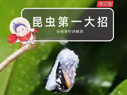 50秒看懂地球最强生物的魔性成长史~ 修订版放心食用,胆小也能看~#涨知识 #昆虫