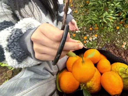 看一半咋还放图?ai吧😄#苏白粥 #心跳引擎苏白粥 @抖音小助手