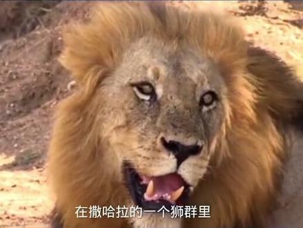 #上热门🔥 点点关注持续分享有趣视频#上热门🔥🔥🔥