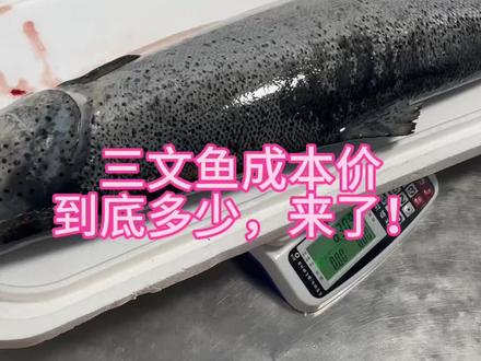 三文鱼成本 #热门 #三文鱼 #日料 #刺身 #海鲜 @DOU+小助手 @DOU+上热门