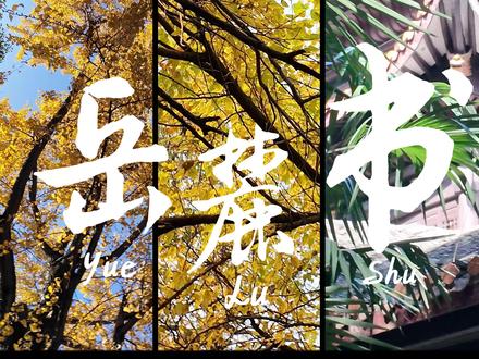 大学生第一次视频作业,大家点点赞叭#原创视频 #大学生