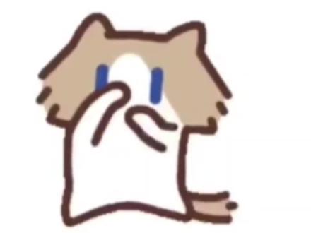 梗:月薪喵 解释一下我大上条视频玩的梗