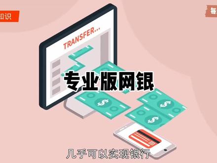 #科普#专业版网银 :网银的一种