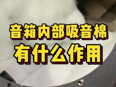 音箱内部的吸音棉有什么作用?音箱为什么要加吸音棉呢?#音响 #音箱 #专业音箱 #音响设备 #涨知识