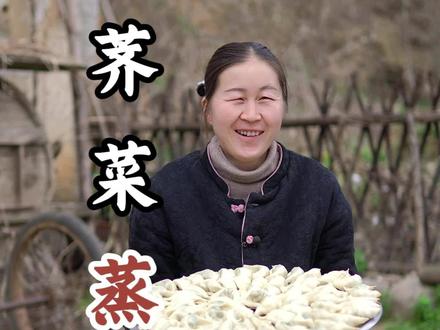 在河南老家,一到春天有吃不完的野菜,这个季节正是吃荠荠菜的时候,用它做个河南特色美食荠荠菜蒸饺,皮薄馅多,鲜香味美,这限定的美味可一定不要错过#又到了吃野菜的季节#荠荠菜蒸饺#花开见乡村#新农人计划2026#惬意的农村生活
