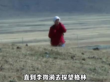 看到李微漪上线回复网友评论,重返狼群终于迎来番外,如今格林已经离开妈妈15年了,但妈妈李微漪从未忘记格林!#格林 #李微漪 #重返狼群 #重返狼群背后的故事 #感动