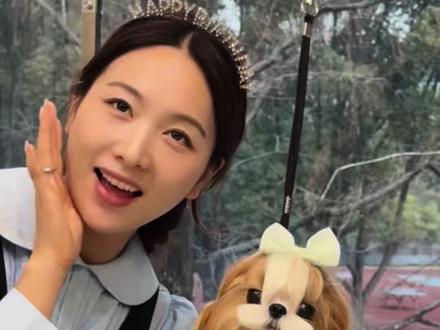 西施美容天花板!简单又耐看的日常造型教程 #宠物店 #西施犬 #宠物美容培训 #发型教程 #宠物造型