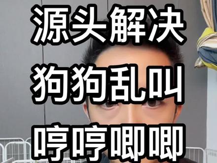 狗狗乱叫怎么办?狗狗哼哼怎么办?